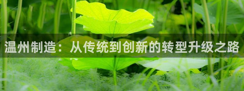 pg电子招财喵爆分照片