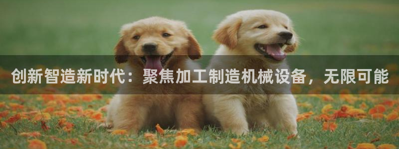 pg电子网站登陆