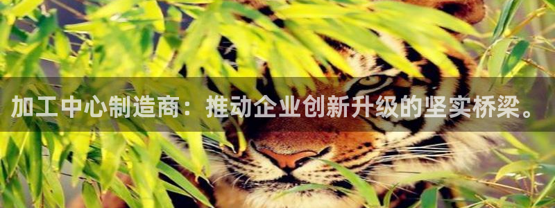 pg电子招财喵