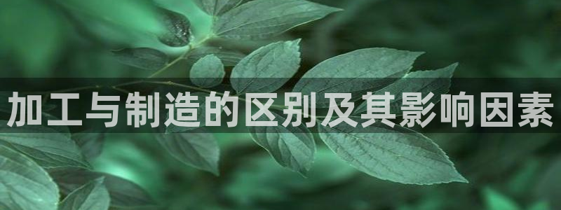 pg电子输了30万